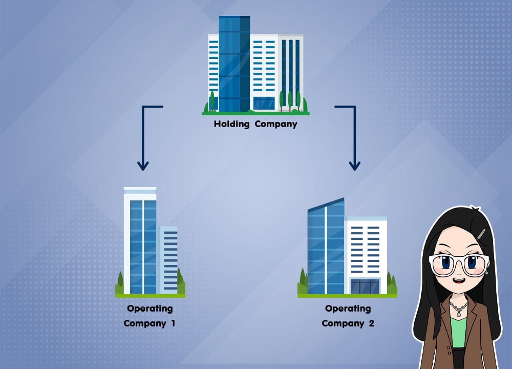 คืออะไร Holding Company คืออะไร?