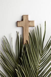 view-green-leaves-cross-arrangement